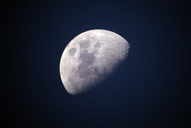 Lunar Love